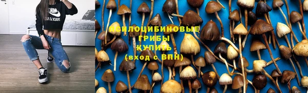 молекула духа Армянск