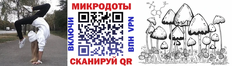 Псилоцибиновые грибы Psilocybe  darknet телеграм  Карачаевск 